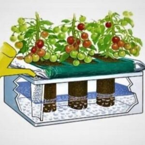 Laistymo dėžė BASIC