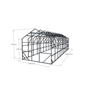 Dvišlaitis šiltnamis 3300×10000